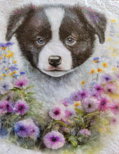 Load image into Gallery viewer, Decoupage Border Collie Coasters - Border collie puppy image on a white background with flowers