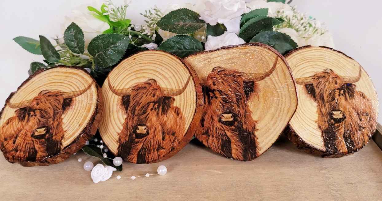 Highland Cow Wood Slice Coasters | Rustic Bark-Edged Drink Mats | Quantock Inspiration