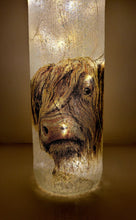 Load image into Gallery viewer, Decoupage Highland Cows Bottle Lamp - Quantock Inspiration