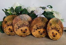 Load image into Gallery viewer, Four Decoupage Natural Wood Slice Hedgehog coasters. Varnished glossy look, hedgehog detail and bark left on the outer edge