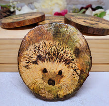 Load image into Gallery viewer, Four Decoupage Natural Wood Slice Hedgehog coasters. Varnished glossy look, hedgehog detail and bark left on the outer edge