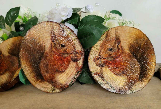 Natural Wood Slice Squirrel Coasters | Decoupage Set of Four | Quantock Inspiration