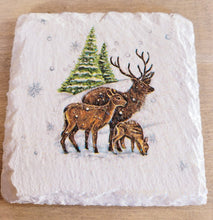 Load image into Gallery viewer, Decoupage Wildlife Slate Coasters - Quantock Inspiration