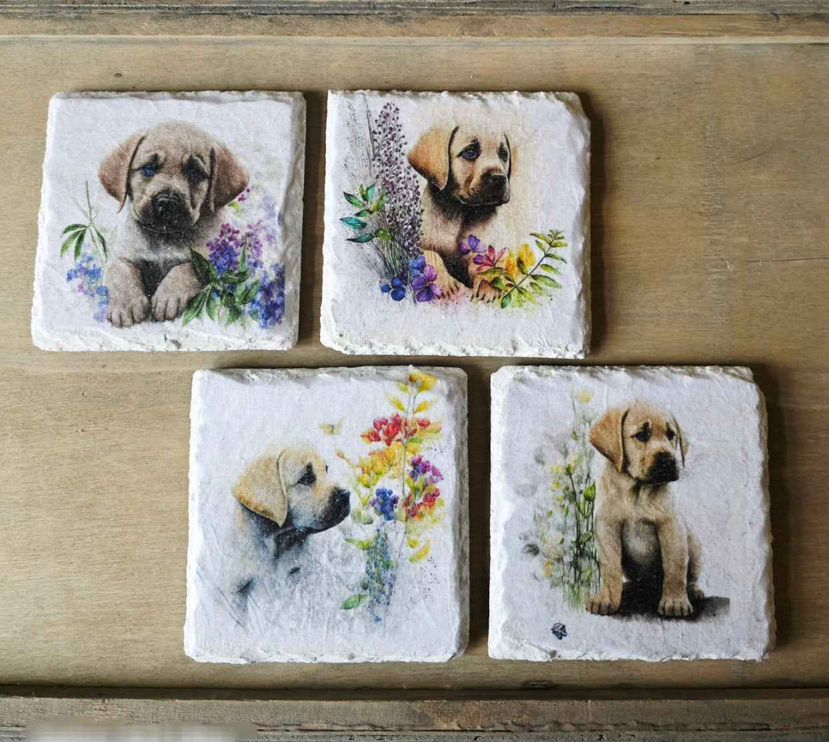 Labrador Puppy Slate Coasters | Set of 4 Natural Stone Ware | Quantock Inspiration