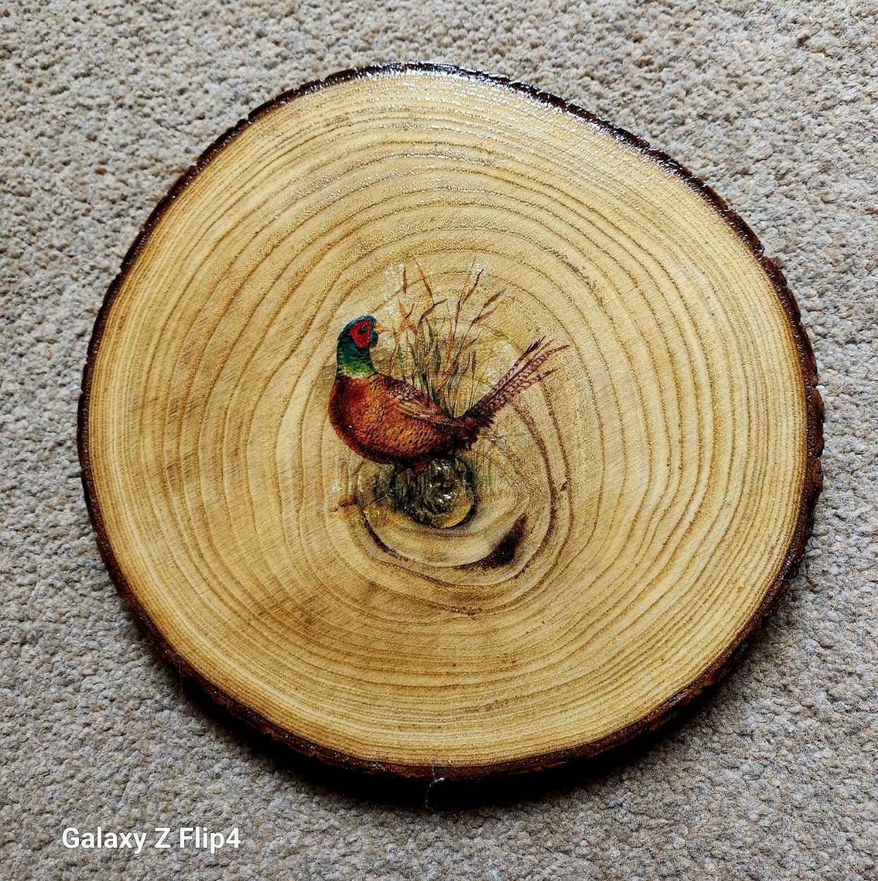 Set of ten Decoupage Wildlife Table Mats