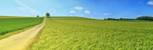 Marketing Hell!! 17/07/2022 - Quantock Inspiration