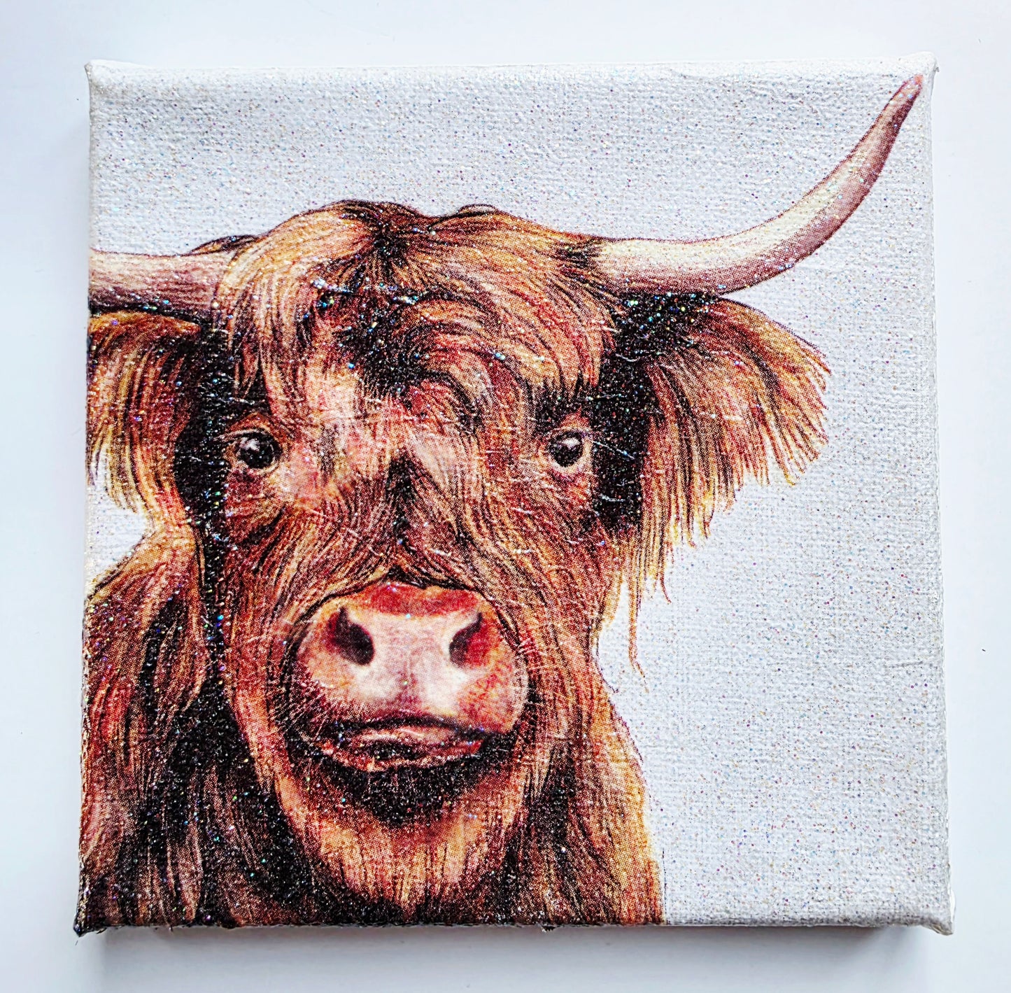 decoupage highland cow picture on white stretched canvas