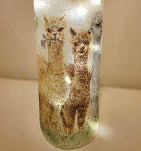 Load image into Gallery viewer, Decorative glass bottle with alpaca design on a beige background
