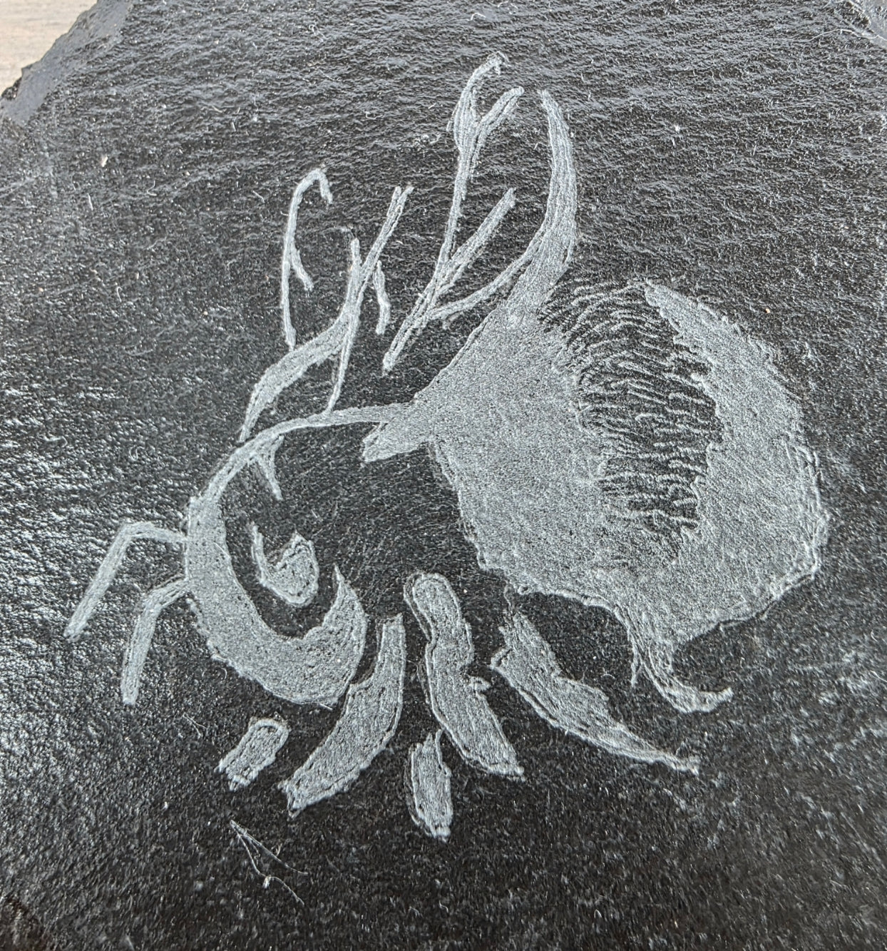 Carved design of a Bumble Bee on a dark stone surface