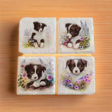 Load image into Gallery viewer, Decoupage Border Collie Coasters - set of four
