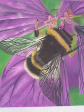 Load image into Gallery viewer, Bumble Bee Pastel Painting - Quantock Inspiration
