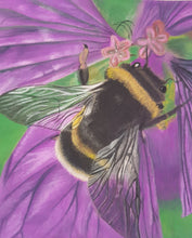 Load image into Gallery viewer, Bumble Bee Pastel Painting - Quantock Inspiration
