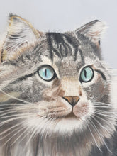 Load image into Gallery viewer, Cat Pastel Painting - Quantock Inspiration
