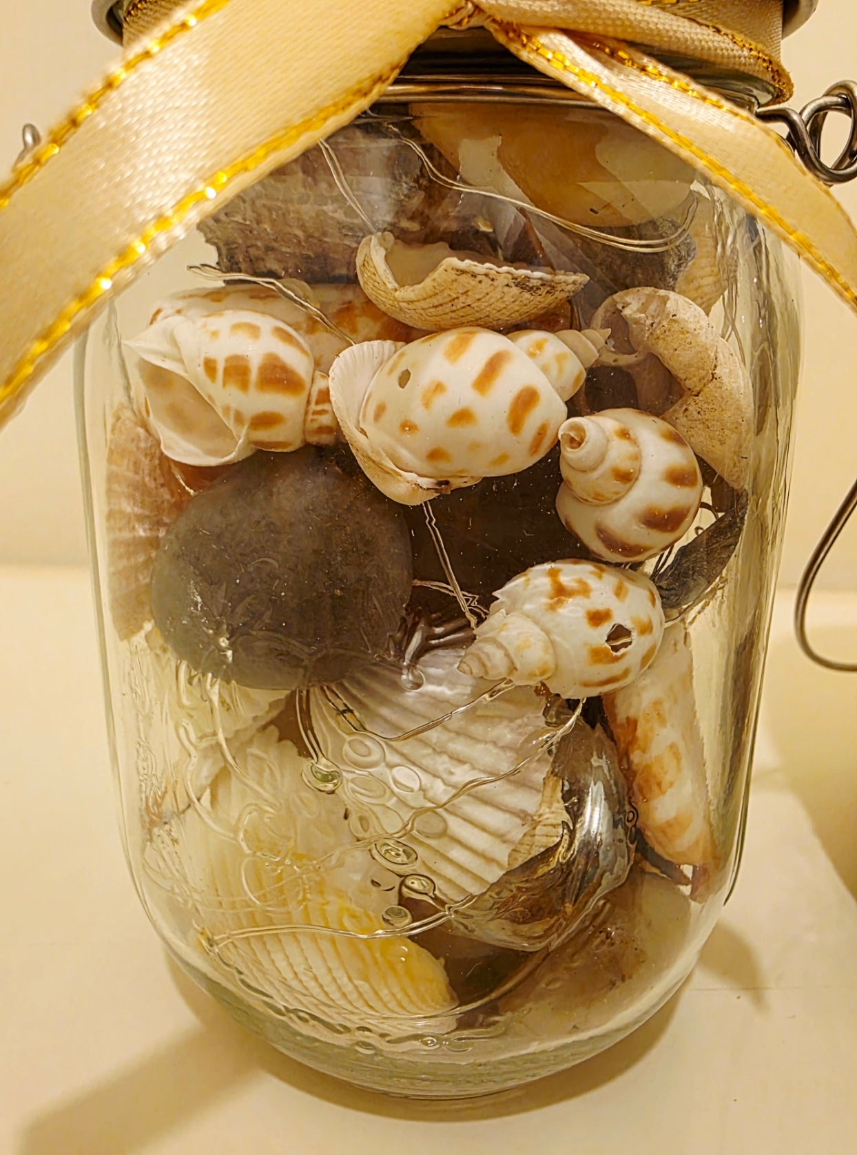 Glass jar filled with various shells and pebbles, a gold ribbon on a light background