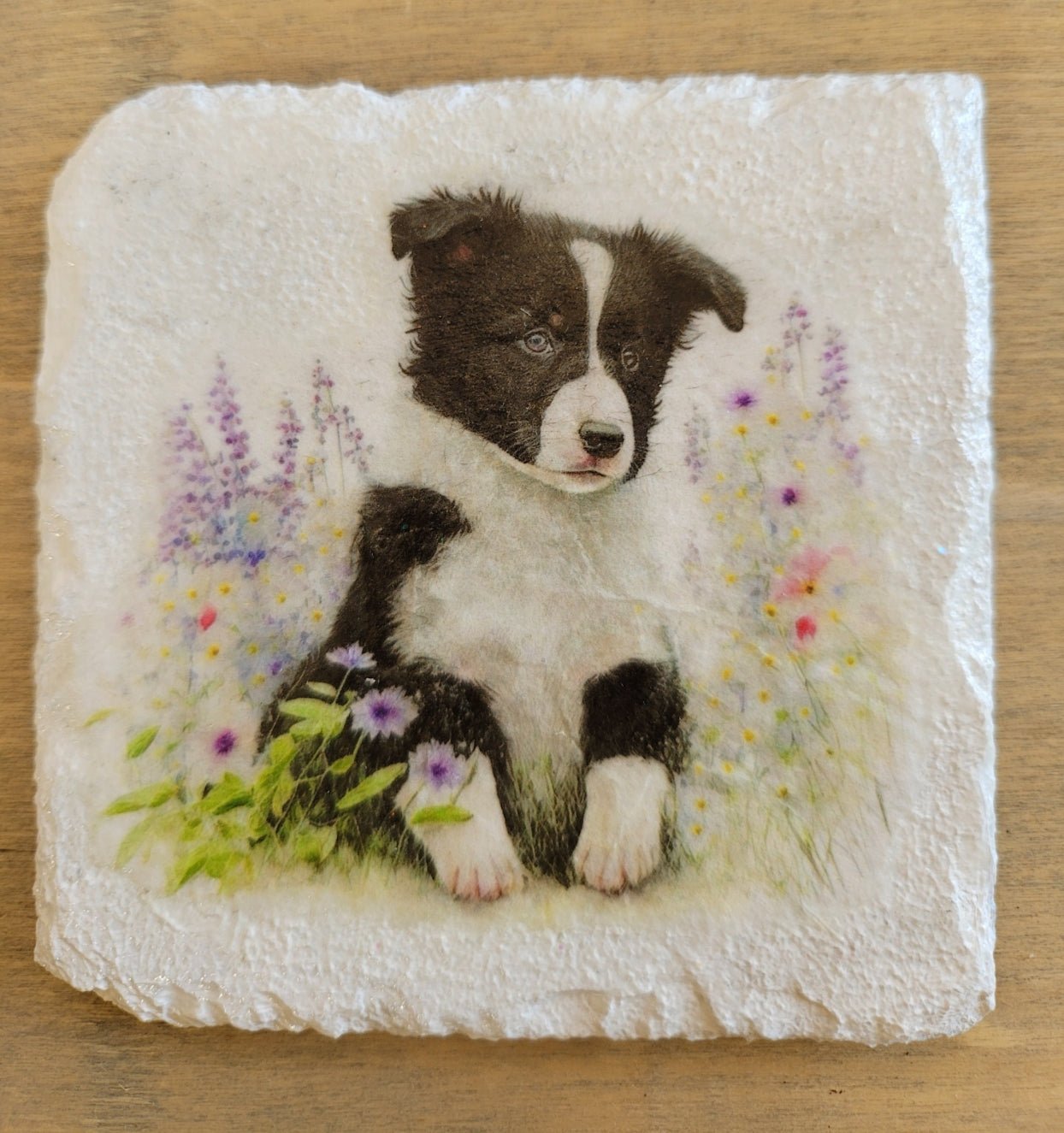 Decoupage Border Collie Coasters - Decoupage Border Collie Coasters - Decoupage Border Corder collie coasters, white square coaster, with black and white border collie image with flowers 