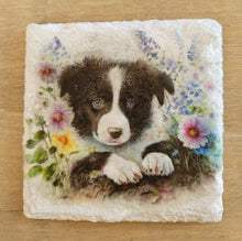 Load image into Gallery viewer, Decoupage Border Collie Coasters - Decoupage Border Corder collie coasters, white square coaster, with black and white border collie image with flowers 
