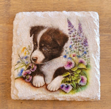 Load image into Gallery viewer, Decoupage Border Collie Coasters -Decoupage Border Collie Coasters - Decoupage Border Corder collie coasters, white square coaster, with black and white border collie image with flowers  
