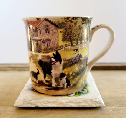 Decoupage Border Collie Coasters - Decoupage Border Corder collie coasters, white square coaster, with black and white border collie image with flowers 
