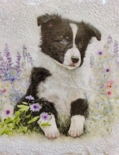 Load image into Gallery viewer, Decoupage Border Collie Coasters - Quantock Inspiration
