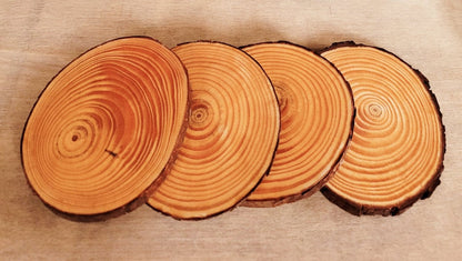four plain wood slice coasters with bark left on