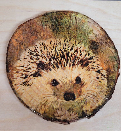 one Decoupage Natural Wood Slice Hedgehog coaster. Varnished glossy look, hedgehog detail and bark left on the outer edge