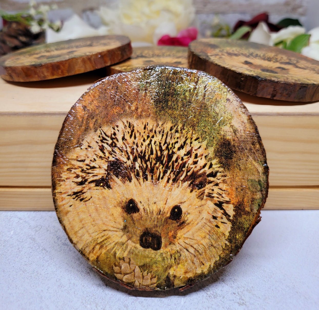 Four Decoupage Natural Wood Slice Hedgehog coasters. Varnished glossy look, hedgehog detail and bark left on the outer edge