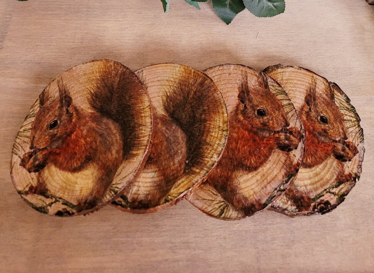 Decoupage Natural Wood Slice Squirrel Coasters - Quantock Inspiration