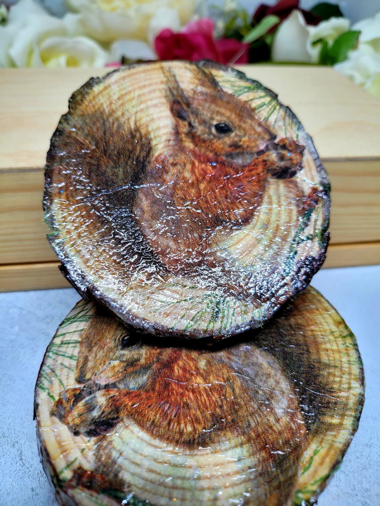 Decoupage Natural Wood Slice Squirrel Coasters - Quantock Inspiration