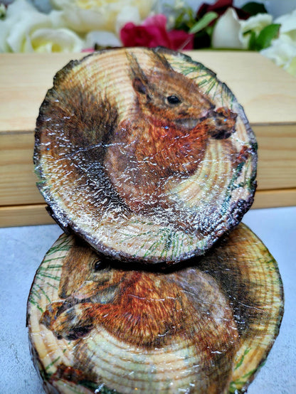Decoupage Natural Wood Slice Squirrel Coasters - Quantock Inspiration