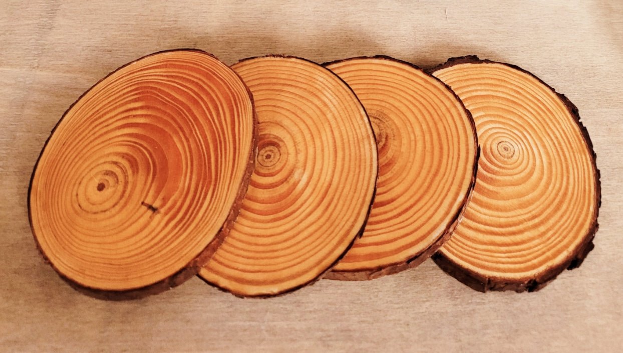 Decoupage Natural Wood Slice Squirrel Coasters - Quantock Inspiration
