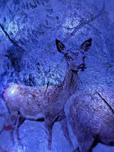 Load image into Gallery viewer, Decoupage Stag Light Up Bottle - fawn detail on the side of a wine bottle. Lit up giving it a wintry look
