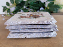 Load image into Gallery viewer, Decoupage Wildlife Slate Coasters - Quantock Inspiration
