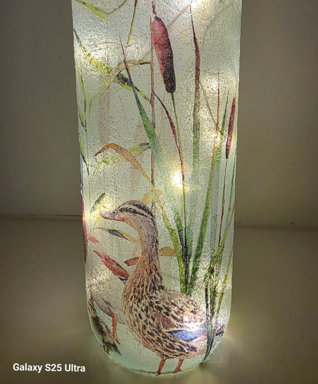 Wine bottle with ducks and ducklings on. Lit up 