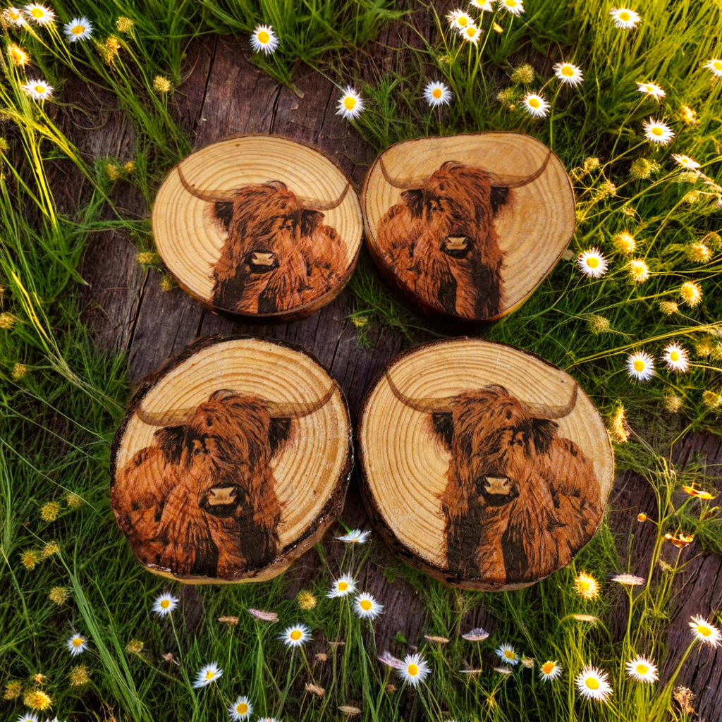Four wood slice coasters with Highland cow detail on each one. Surrounded by grass and daisies