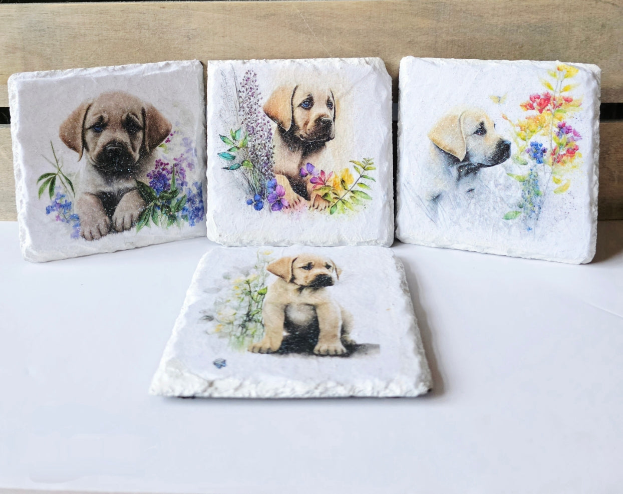Four white painted square slate  coasters with images of a golden labrador puppy and flowers on a white surface.