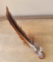 Load image into Gallery viewer, Pheasant feather hat pin, long pheasant tail feather with shorter feathers on the end of a brass gold coloured shotgun cartridge
