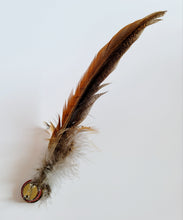 Load image into Gallery viewer, Pheasant feather hat pin, long pheasant tail feather with shorter feathers on the end of a brass gold coloured shotgun cartridge
