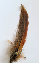 Load image into Gallery viewer, Pheasant feather hat pin, long pheasant tail feather with shorter feathers on the end 
