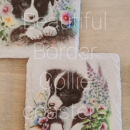 Video of Four white painted square slate coasters with four different Border Collie Pup designs