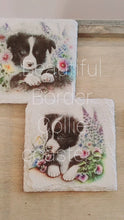 Load and play video in Gallery viewer, Video of Four white painted square slate coasters with four different Border Collie Pup designs
