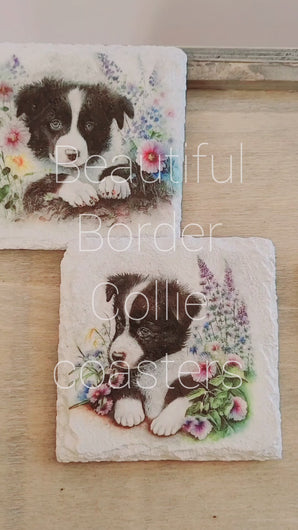 Video of Four white painted square slate coasters with four different Border Collie Pup designs