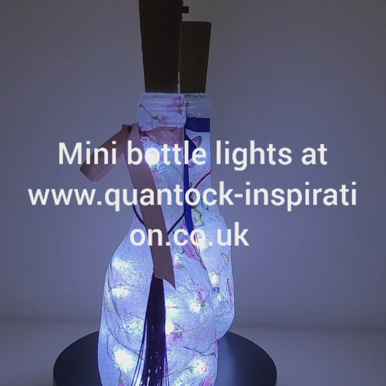 Rotating example of a pair of lit up miniature bottle lamps. Round bodies, bird and Butterfly detailing, Pink bow and blue tassel on one bottle, blue bow and pink tassel on the other.