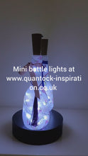 Load and play video in Gallery viewer, Rotating example of a pair of lit up miniature bottle lamps. Round bodies, bird and Butterfly detailing, Pink bow and blue tassel on one bottle, blue bow and pink tassel on the other.
