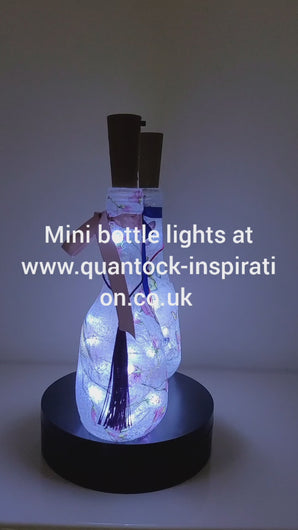 Rotating example of a pair of lit up miniature bottle lamps. Round bodies, bird and Butterfly detailing, Pink bow and blue tassel on one bottle, blue bow and pink tassel on the other.