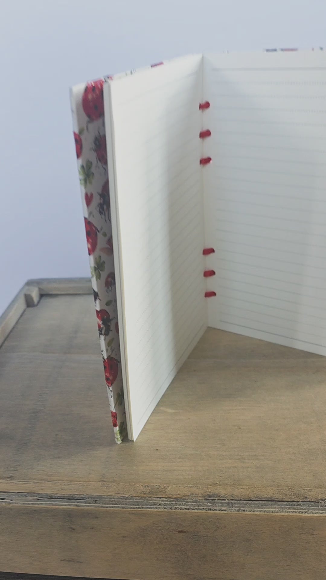 video of a ladybird themed notebook with lined pages and bound with ribbon