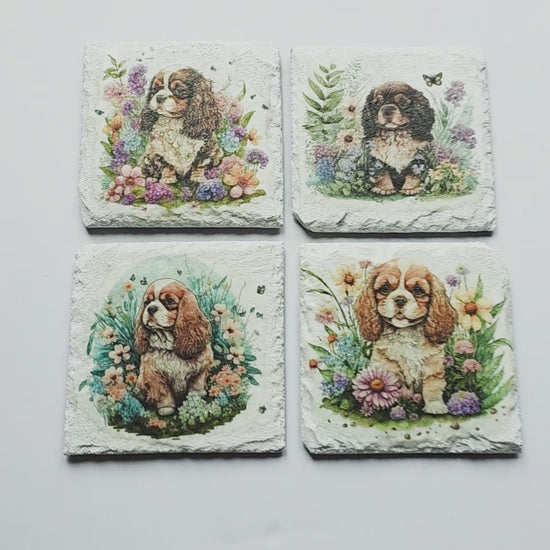 video of Four white square coasters with Cavalier King Charles Spaniel designs on a white surface.