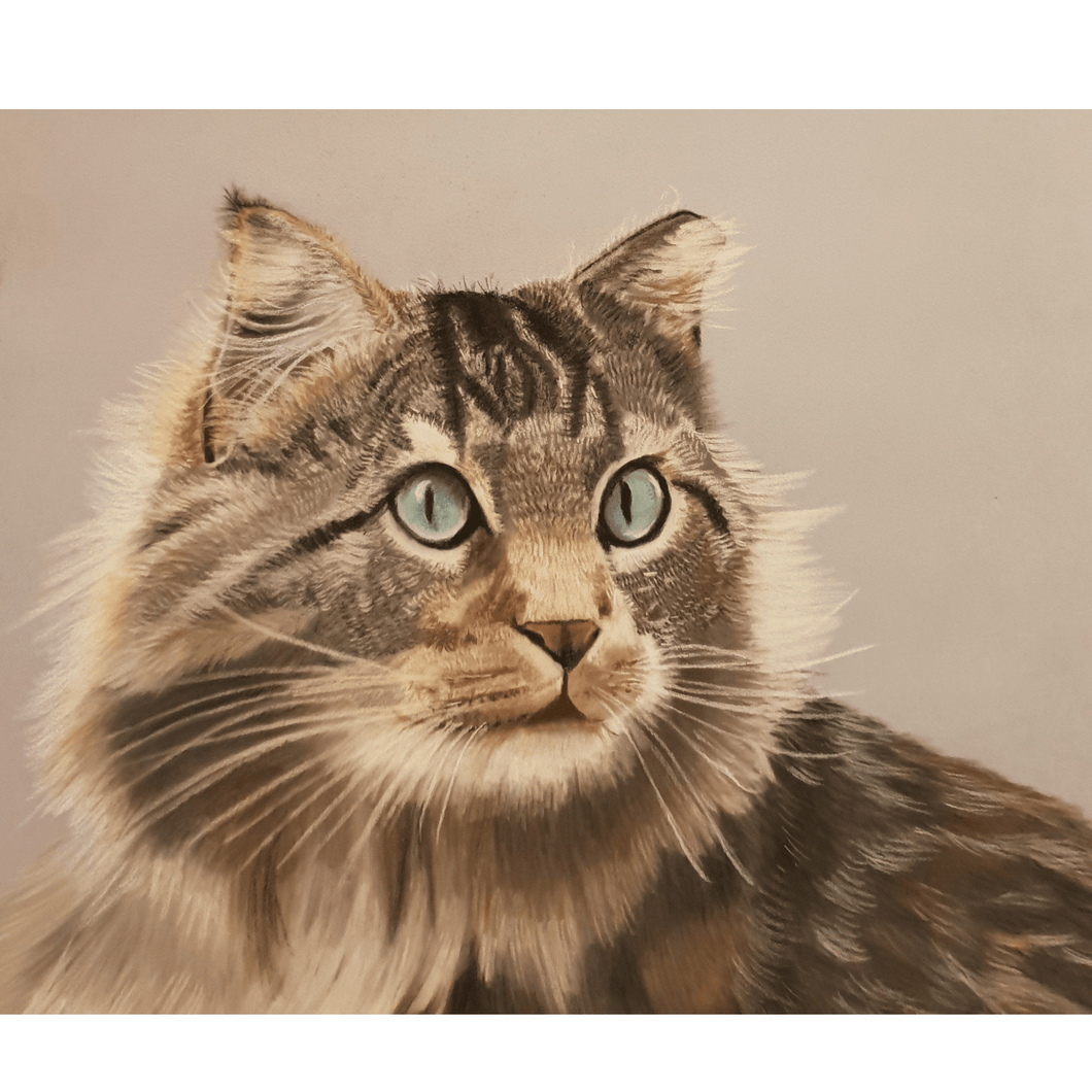 Tigger Cat - Quantock Inspiration