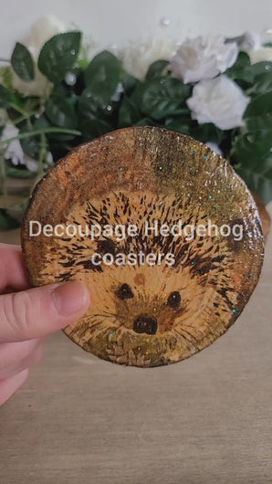 Four Decoupage Natural Wood Slice Hedgehog coasters. Varnished glossy look, hedgehog detail and bark left on the outer edge - video