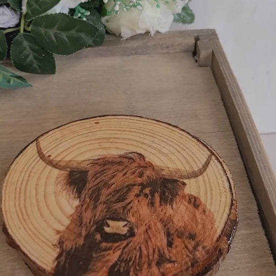 four wood slices with decoupage highland cows on. the coasters have bark around the edge