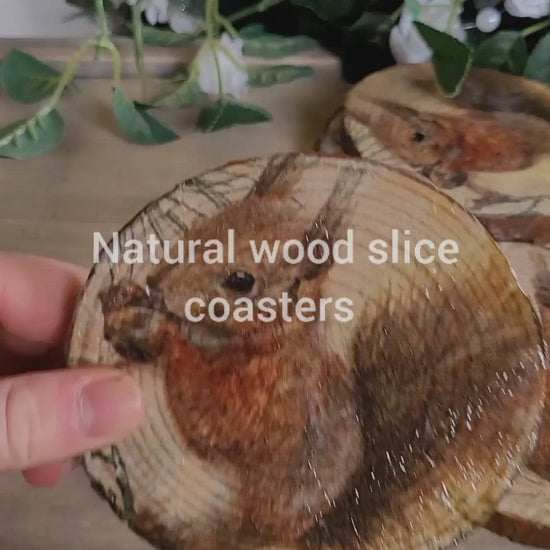 Video of Four round wood slice coasters with bark left on with decoupage squirrel eating nut design. Varnished to a glossy finish